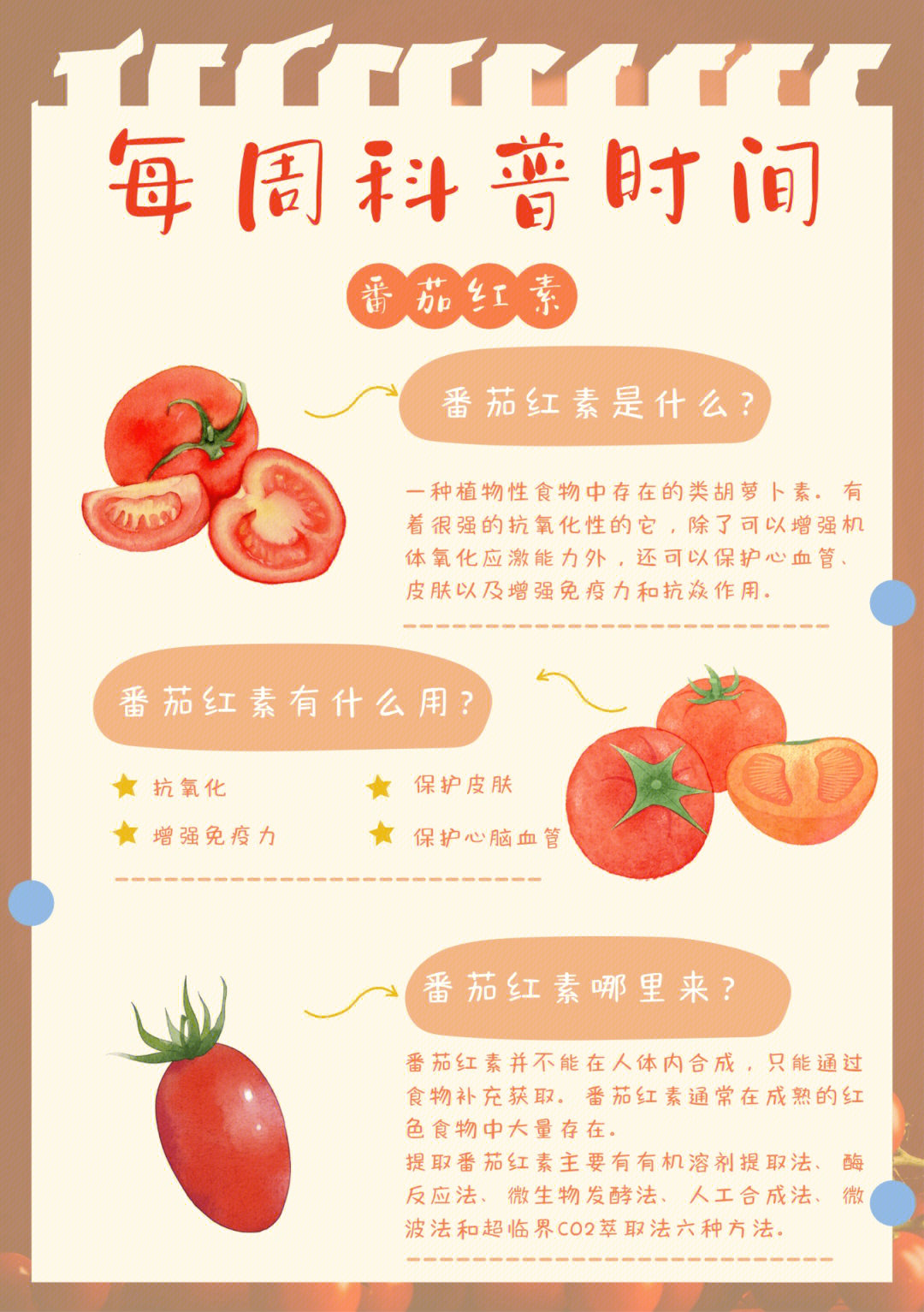 番茄红素有副作用吗(番茄红素的坏处)